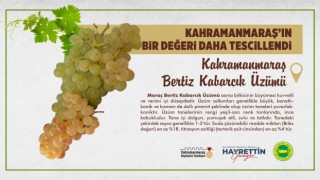 Kahramanmaraş Bertiz Kabarcık Üzümü Tescillendi