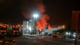 Kahramanmaraş'ta ahşap fabrikasında yangın  