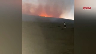 AFŞİN'DEKİ ANIZ YANGINI HIZLI MÜDAHALE İLE SÖNDÜRÜLDÜ