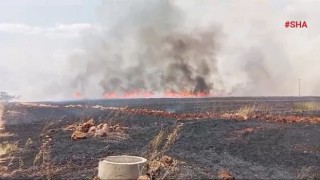 Pazarcık’ta bin dönümlük ekili alan yangında zarar gördü 