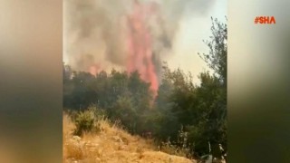 Kahramanmaraş’ta orman yangını