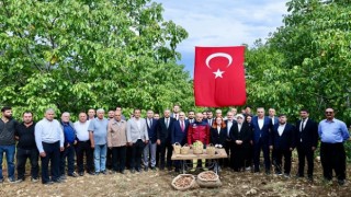 Başkan Toptaş, AB tescilli cevizlerin hasat şenliğine katıldı