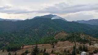 Kahramanmaraş’ta orman yangını  