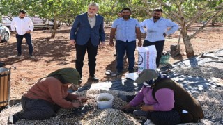 Başkan Görgel: “Pazarcık Fıstığı’nın Tescili İçin Gerekli Süreçleri Başlatıyoruz”