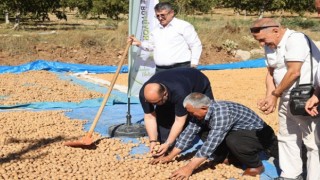 Kahramanmaraş’ta coğrafi tescilli ceviz ihracatı başladı 