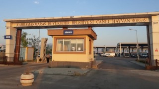 Canlı Hayvan Borsası’nda Kurban Satış Yerleri Kiralama İşlemi 15 Mayıs’ta Başlayacak