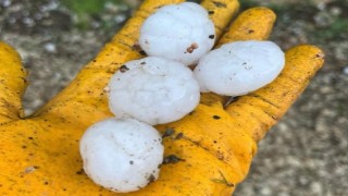 Ceviz büyüklüğündeki dolu yağışı maddi hasara neden oldu  