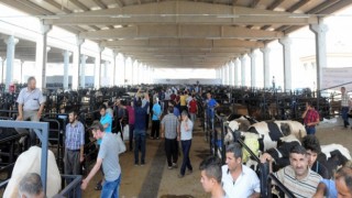 Kurbanlık Hayvan Satış Fiyatları Belirlendi