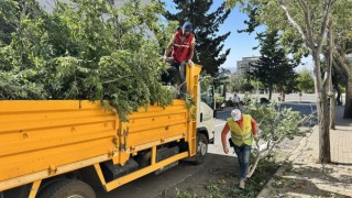Büyükşehir, Fırtınanın Oluşturduğu Hasarları Ortadan Kaldırıyor