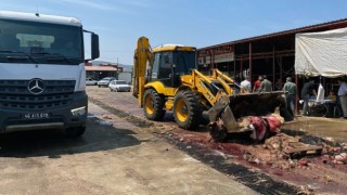 Büyükşehir, Şehri Hayvansal Atıklardan Temizliyor