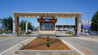 Hayvan Borsası’nda Hazırlıklar Tamamlandı