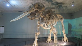 Kahramanmaraş belgeseli yayımlandı 