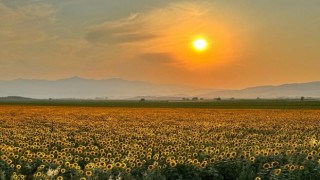 Kahramanmaraş'ta manzara hayran bıraktı 