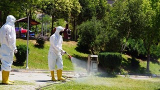 Kene Tehdidine Karşı Büyükşehir Sahada