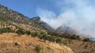 Türkoğlu’nda orman yangını