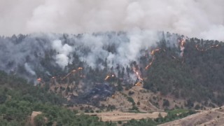 Kahramanmaraş'ta Orman Yangını Kontrol Altında