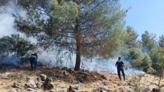 Kahramanmaraş’ta piknik yapmak istediler ormanı yaktılar 