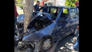 Otomobil ağaca çarptı: 1 yaralı