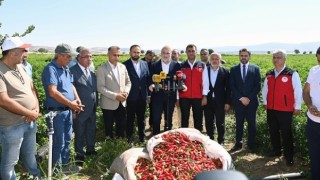 Başkan Görgel; “Coğrafi İşaretli Maraş Biberimizin Hasadı Bereketli Olsun”