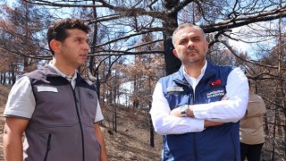 Başkan Toptaş, Çamlıbel-Çakırdere’deki mühürleme çalışmalarını inceledi