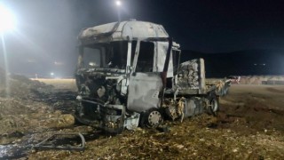 Kahramanmaraş’ta biyoenerji santralinde yangın