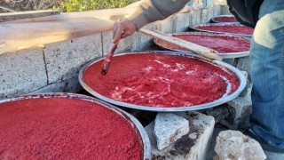 Kahramanmaraş’ta salça mesaisi 