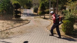 Parklar Temizleniyor, Doğa Yeniden Nefes Alıyor