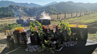 Andırın’da Tescilli Andız Pekmezi Üretimi Başladı