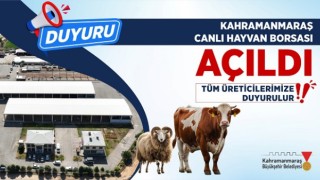 Canlı Hayvan Pazarı Açıldı