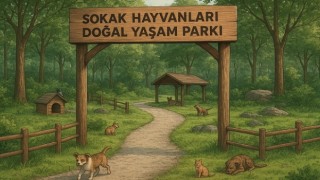 Kahramanmaraş Sahipsiz Hayvanları Koruma Birliği Kuruldu