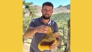 Kahramanmaraş’ta arıların izini sürerek para kazanıyor