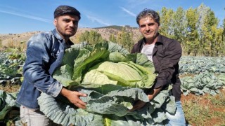 Kahramanmaraş’ta ‘Devler’ yola çıktı 