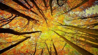 Kahramanmaraş’ta Sonbahar Cümbüşü