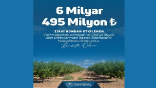 Tarım ve Orman Bakanı İbrahim Yumaklı Zirai Dondan Etkilenen Üreticilerimizle iligili Paylaşım Yaptı