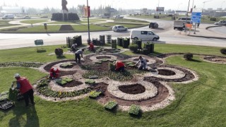 Büyükşehir Kavşakları 500 Bin Çiçekle Renklendiriyor
