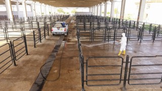 Büyükşehir’den Canlı Hayvan Pazarı’nda Halk Sağlığı İçin Kapsamlı Çalışma