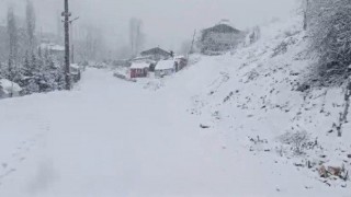 Kuzey İlçelerde Kar, Kent Merkezinde Sağanak Yağış Etkili Oldu