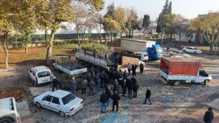 Büyükşehir’den Bin 500 Üreticiye 193 Bin Adet Fidan Desteği