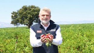 Büyükşehir’den 2025’te Çiftçiye 100 Milyonluk Destek, Üretime Güç