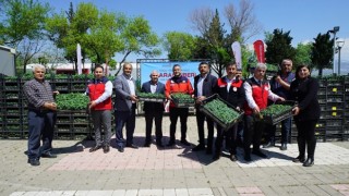 Büyükşehir’den Üreticiye 650 Bin Hibe Biber Fidesi