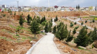 Karbon Yutak Alanı’nda Çalışmalar Sürüyor