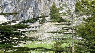 Kayalıklardan düşen vatandaş hayatını kaybetti