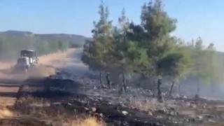 Gaziantep’te orman yangını kontrol altına alındı