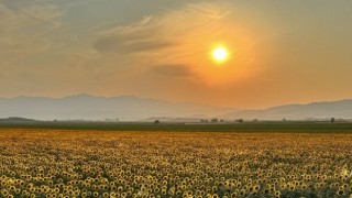 Kahramanmaraş'ta manzara hayran bıraktı 