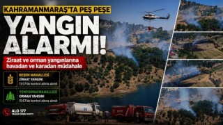 Kahramanmaraş’ta orman yangınları korkuttu 