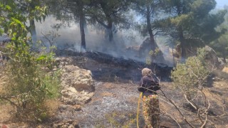 Ormanlık Alanda Çıkan Yangın Söndürüldü